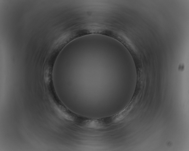 X0000094900074200711291242