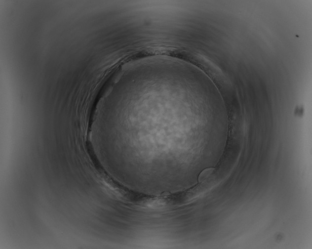 X0000094900075200711291242