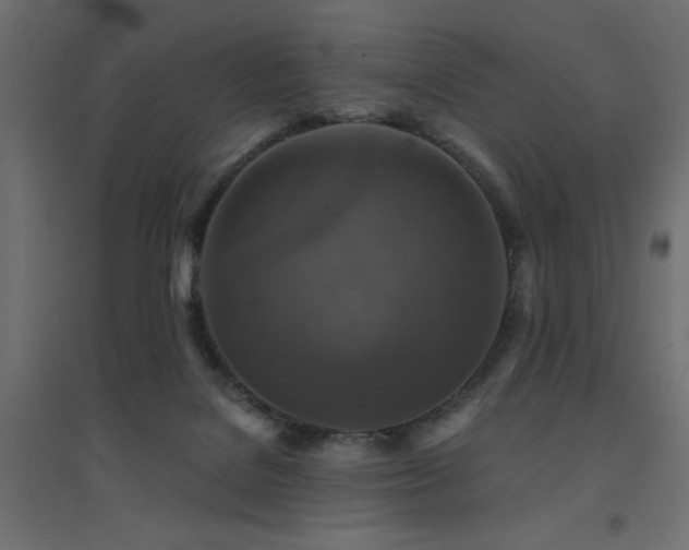 X0000094900076200711291242