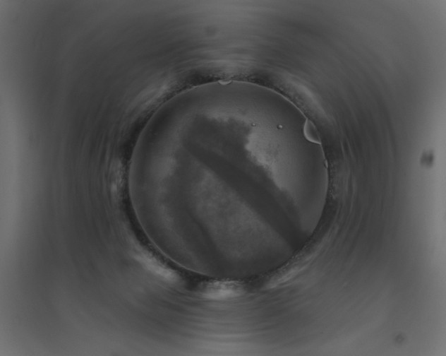 X0000094900077200711291242