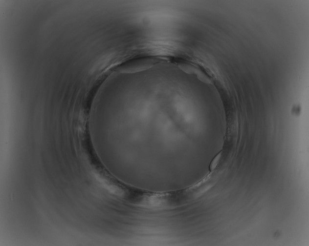 X0000094900078200711291242