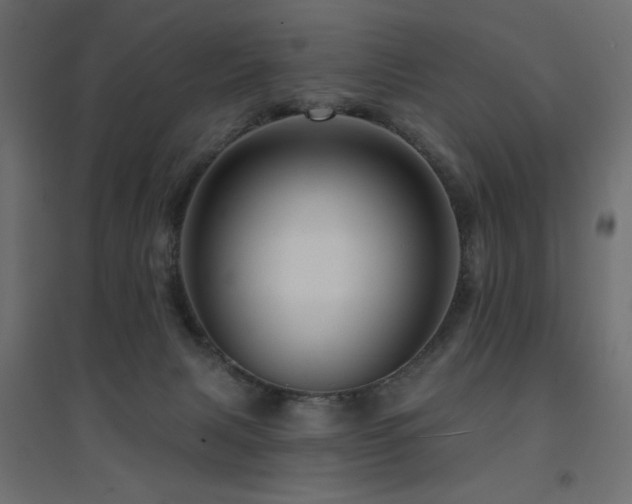 X0000094900079200711291242