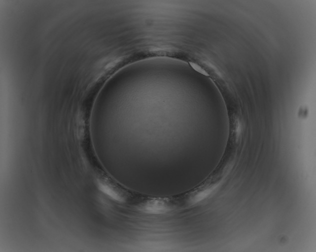 X0000094900080200711291242