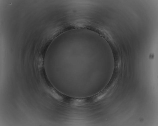 X0000094900081200711291242