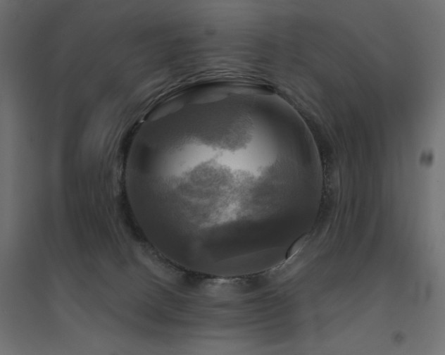 X0000094900082200711291242