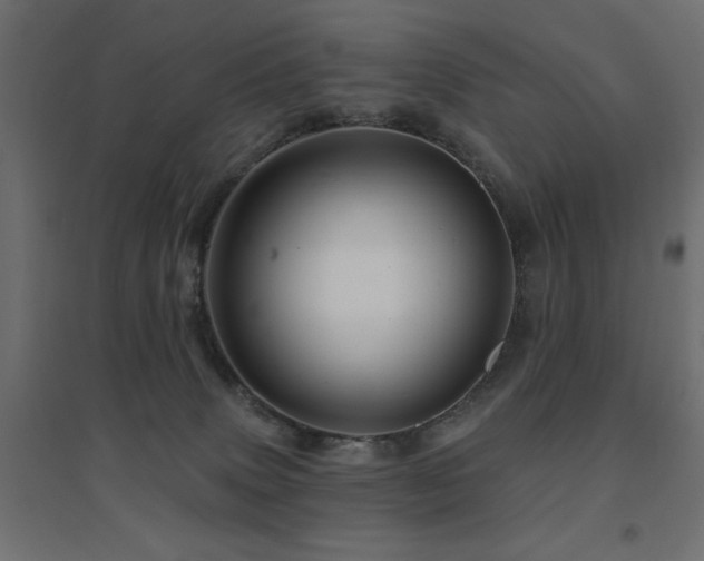 X0000094900083200711291242