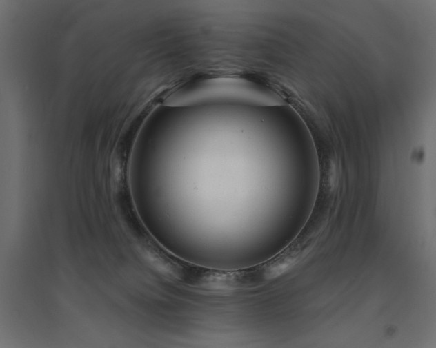 X0000094900084200711291242