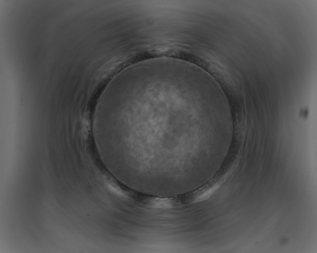 X0000094900085200711291242