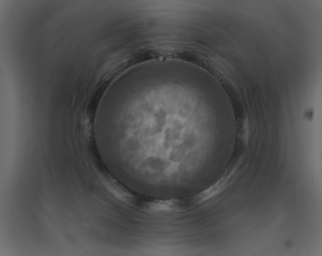 X0000094900086200711291242