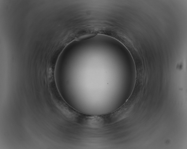 X0000094900087200711291242