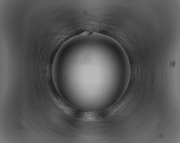 X0000094900088200711291242