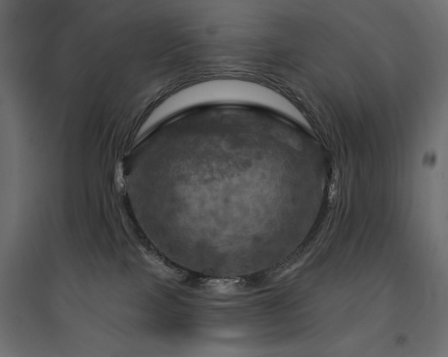 X0000094900089200711291242