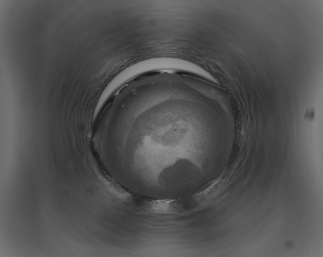 X0000094900090200711291242