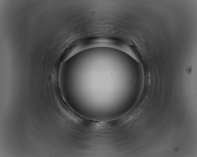 X0000094900092200711291242