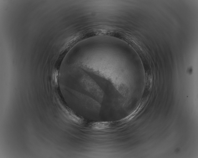 X0000094900094200711291242