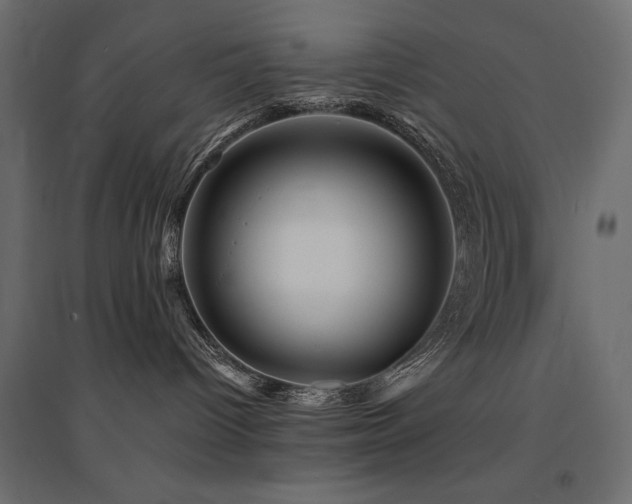 X0000094900096200711291242