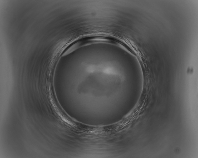 X0000094900097200711291242