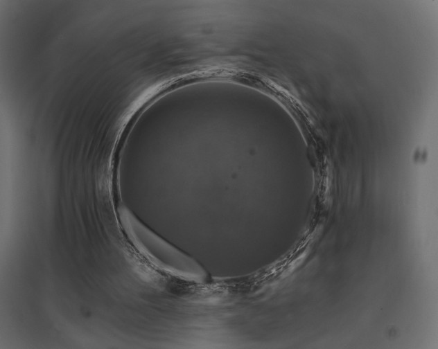X0000094900100200711291242