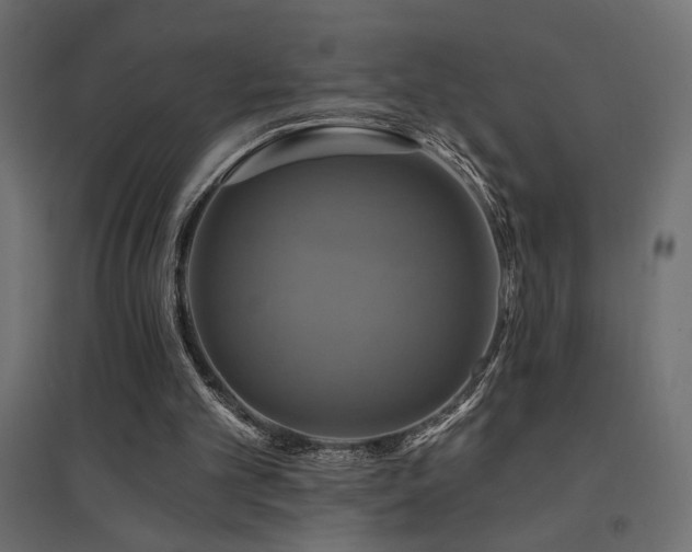 X0000094900101200711291242