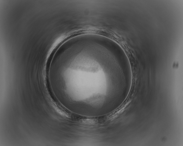 X0000094900102200711291242