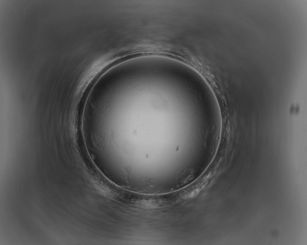 X0000094900103200711291242