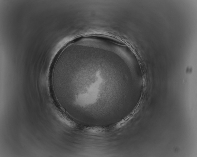 X0000094900104200711291242