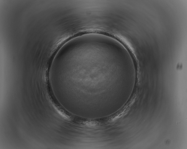 X0000094900105200711291242