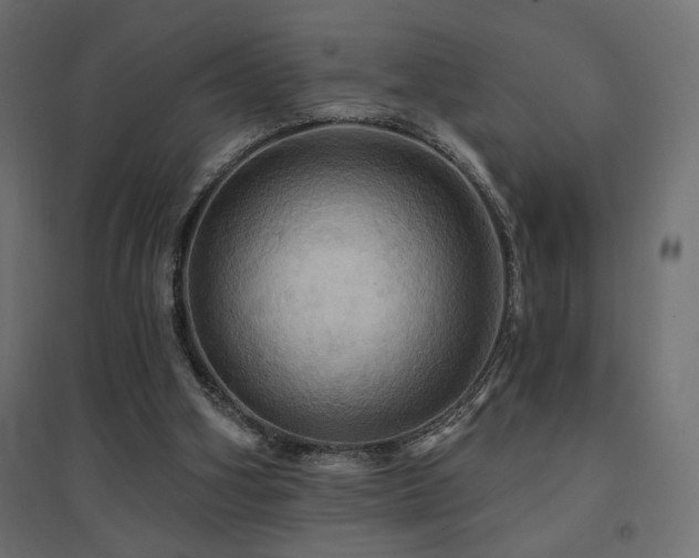 X0000094900106200711291242
