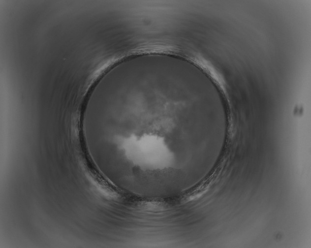 X0000094900107200711291242