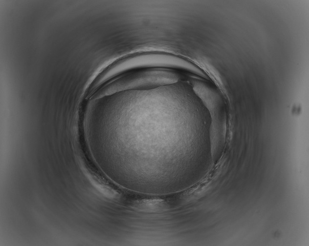 X0000094900108200711291242