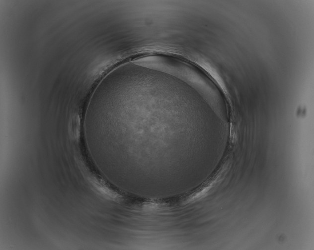 X0000094900109200711291242