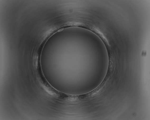 X0000094900110200711291242