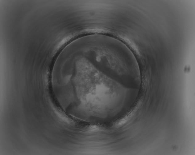 X0000094900111200711291242