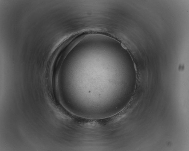 X0000094900112200711291241