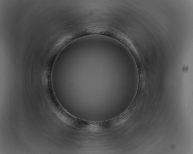 X0000094900114200711291241