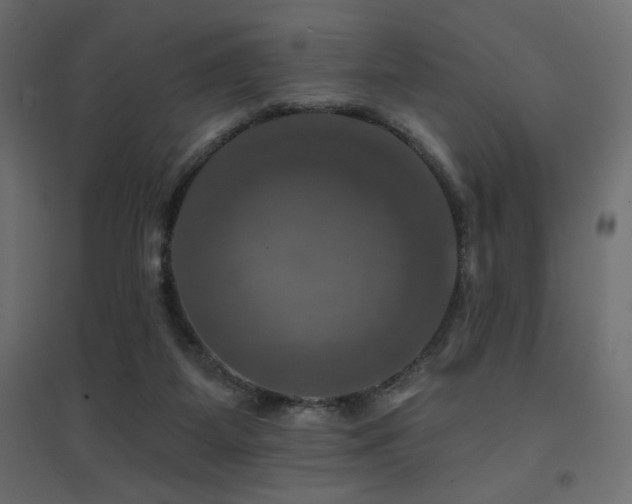 X0000094900115200711291241