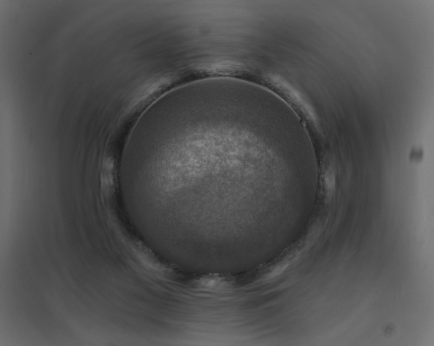 X0000094900117200711291241