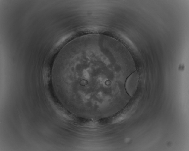 X0000094900119200711291241