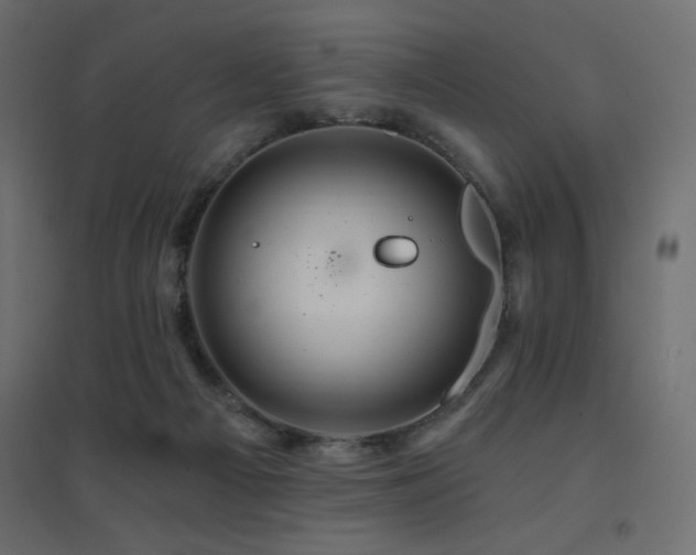 X0000094900121200711291241