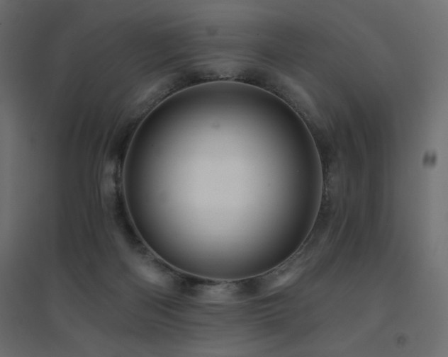 X0000094900122200711291241