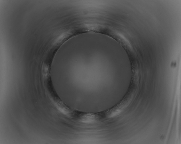 X0000094900123200711291241