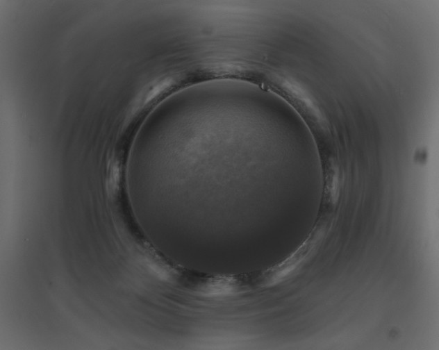 X0000094900124200711291241