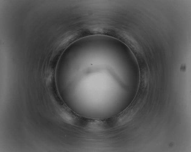 X0000094900125200711291241