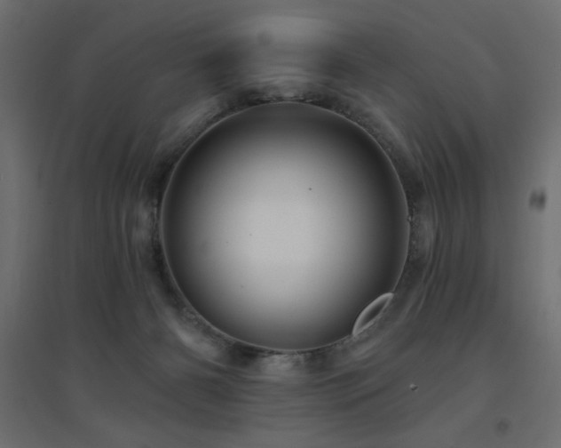 X0000094900126200711291241