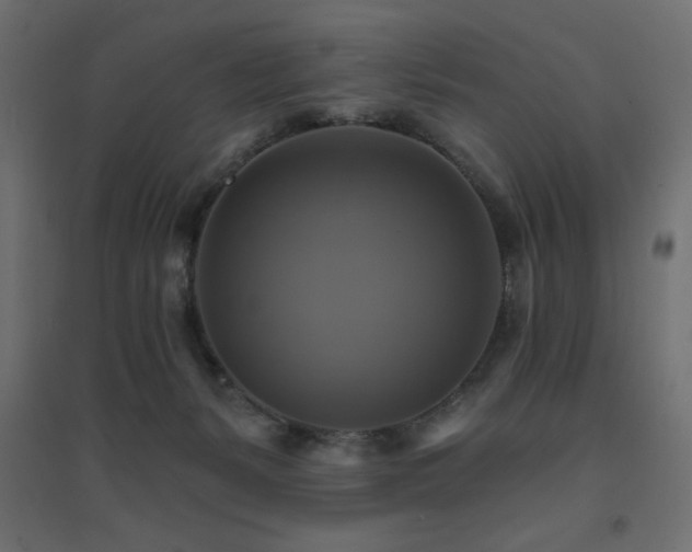 X0000094900127200711291241