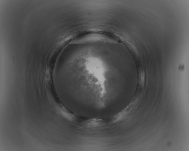 X0000094900128200711291241