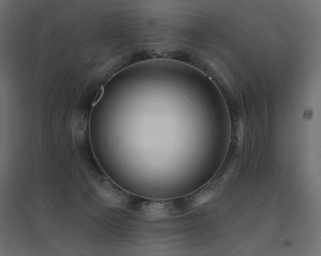 X0000094900129200711291241