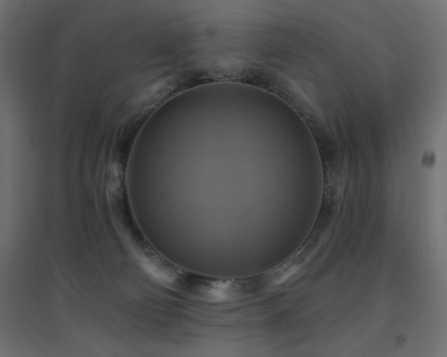 X0000094900130200711291241