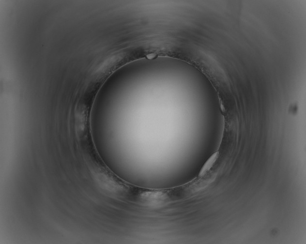 X0000094900133200711291241