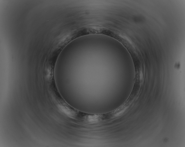 X0000094900134200711291241